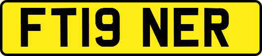 FT19NER