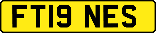FT19NES
