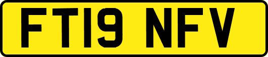 FT19NFV