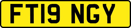 FT19NGY