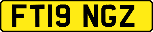 FT19NGZ