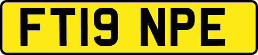 FT19NPE