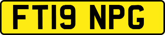 FT19NPG