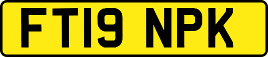 FT19NPK