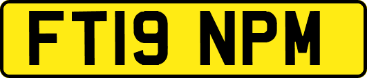 FT19NPM