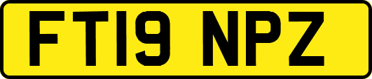 FT19NPZ
