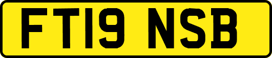 FT19NSB