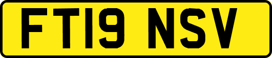 FT19NSV