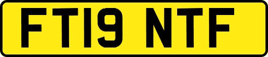 FT19NTF