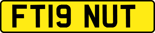 FT19NUT