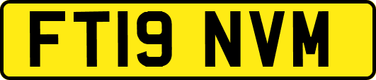 FT19NVM