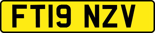 FT19NZV