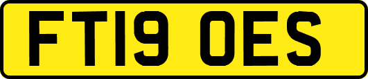 FT19OES
