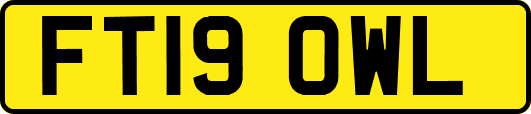 FT19OWL