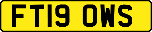 FT19OWS