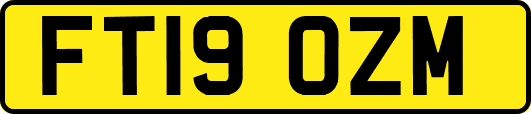 FT19OZM