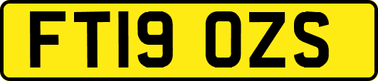 FT19OZS