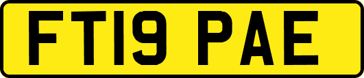 FT19PAE