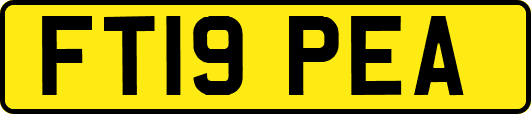 FT19PEA