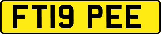 FT19PEE