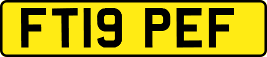 FT19PEF