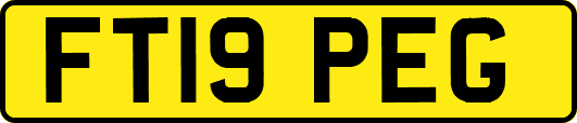 FT19PEG