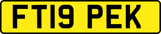 FT19PEK