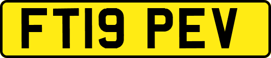 FT19PEV