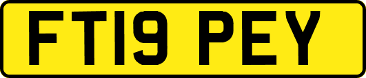 FT19PEY
