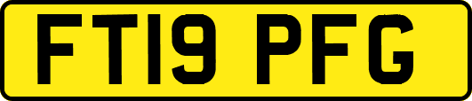FT19PFG