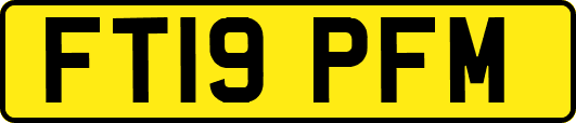 FT19PFM