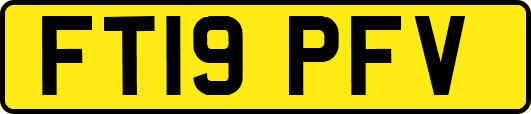 FT19PFV