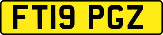 FT19PGZ