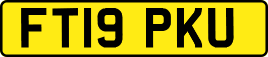 FT19PKU