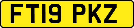 FT19PKZ