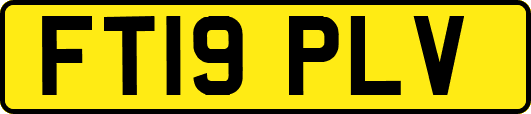 FT19PLV