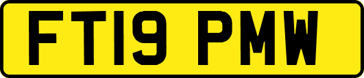 FT19PMW