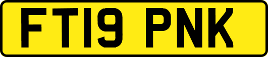 FT19PNK