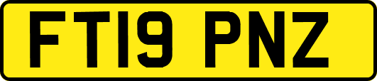 FT19PNZ