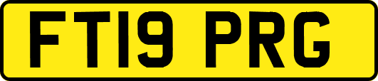 FT19PRG