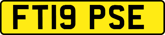 FT19PSE
