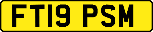 FT19PSM