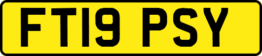 FT19PSY