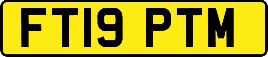 FT19PTM