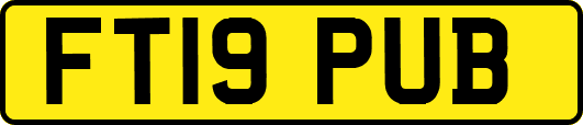 FT19PUB