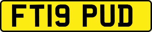FT19PUD