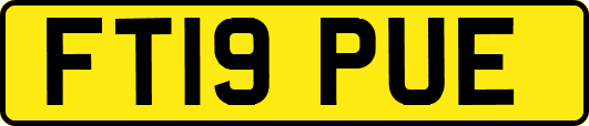 FT19PUE