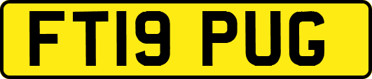 FT19PUG