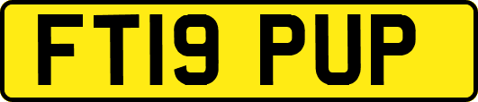 FT19PUP