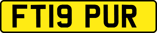 FT19PUR